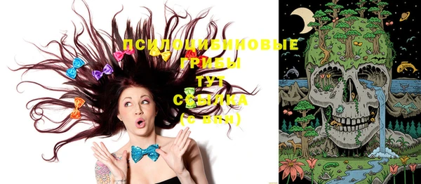 эйфоретик Алексеевка