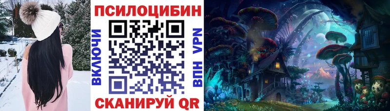Галлюциногенные грибы мицелий  blacksprut зеркало  Бежецк  закладка 